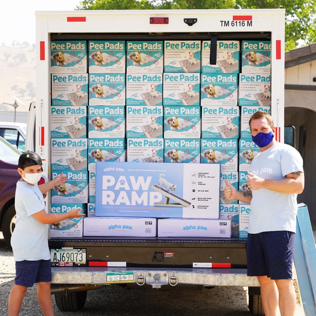 Alpha Paw Ramp Review Must Read This Before Buying