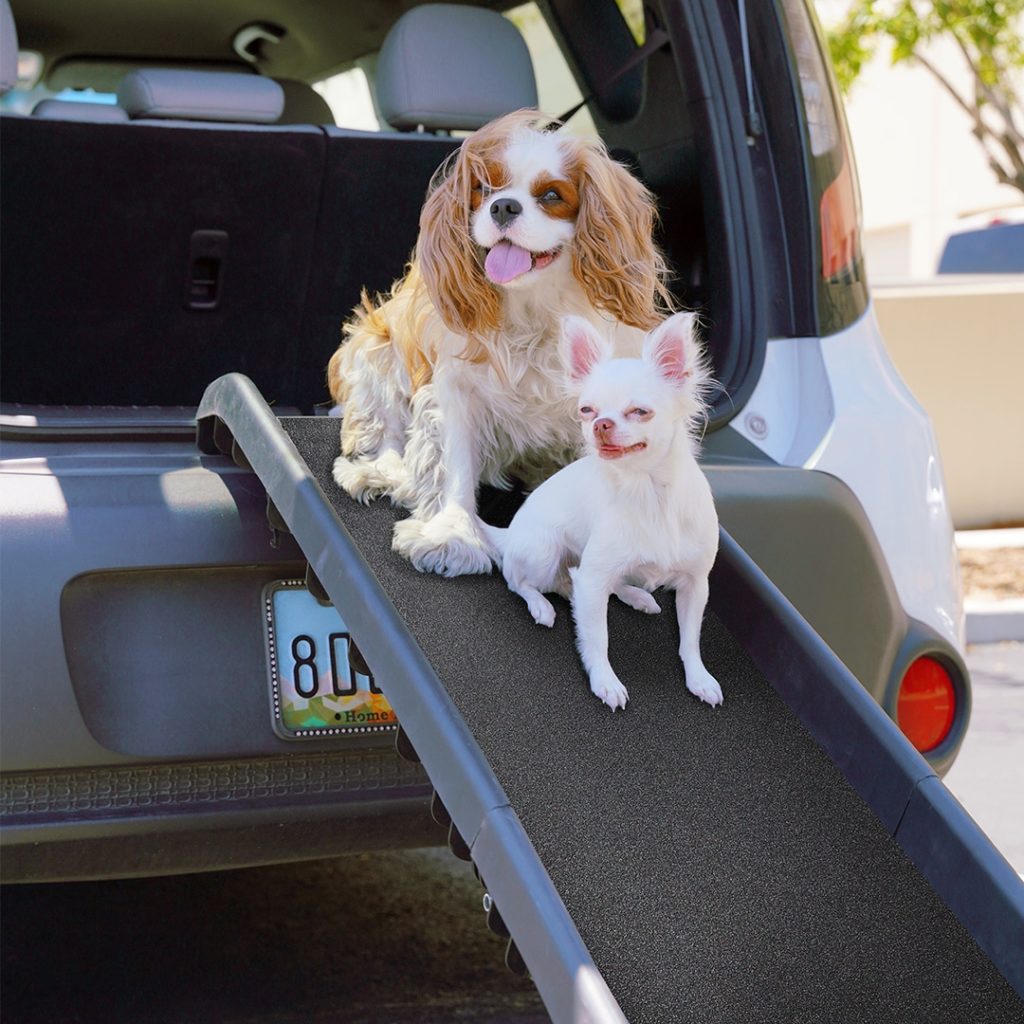 Alpha Paw Car Ramp for Dogs Review