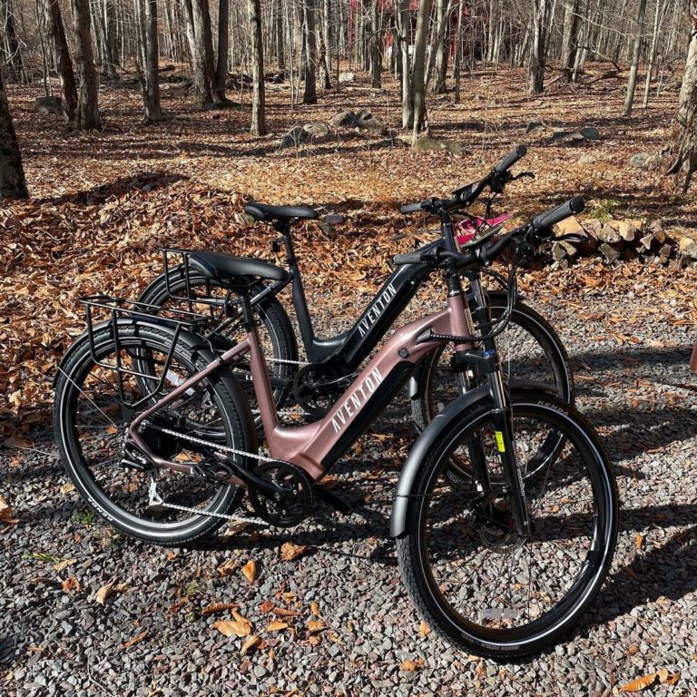 Aventon Bikes Review Must Read This Before Buying