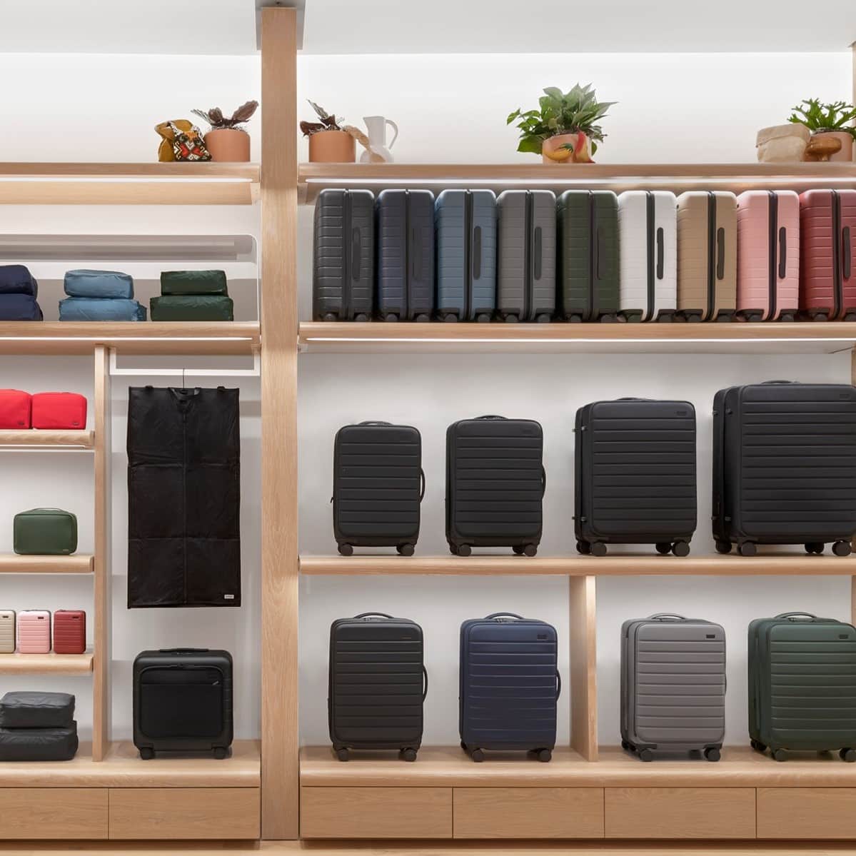 Away Luggage Review Must Read This Before Buying