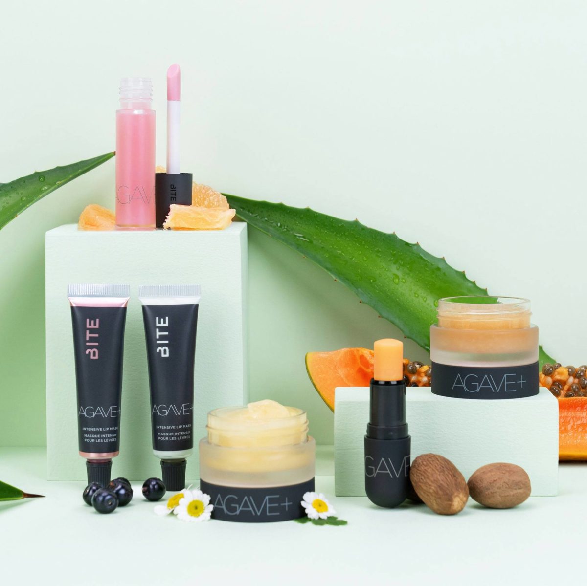 Bite Beauty Review Must Read This Before Buying