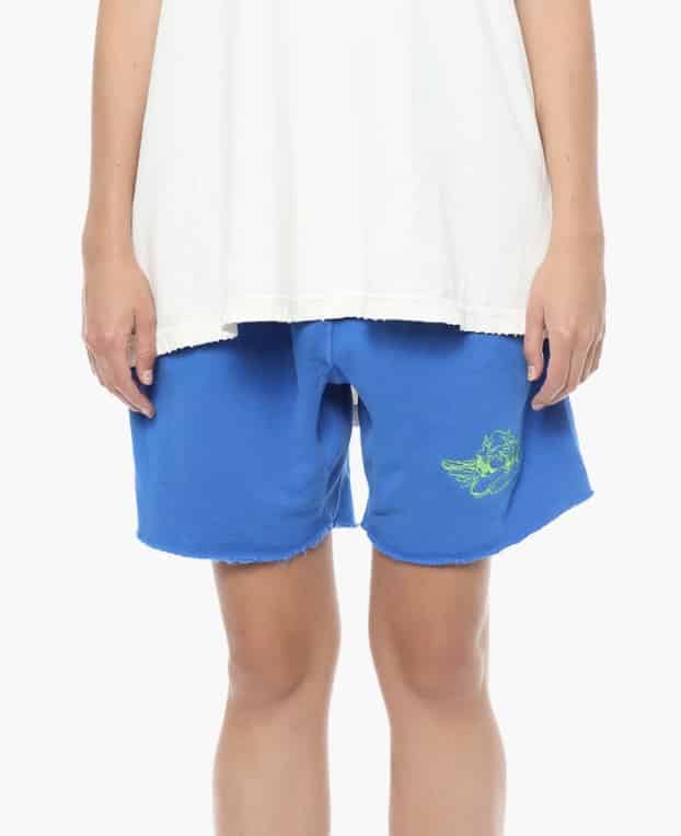 Boys Lie Cobalt Blue V3 Shorts Review