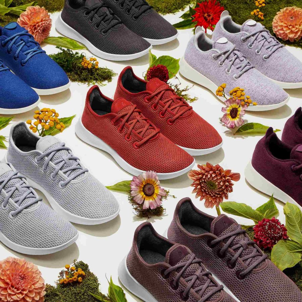 Cariuma Vs Allbirds Review