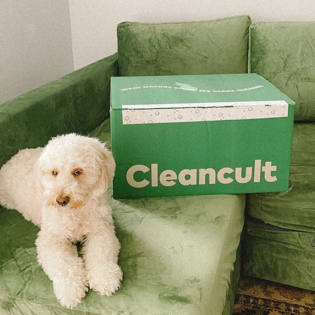 Cleancult Review