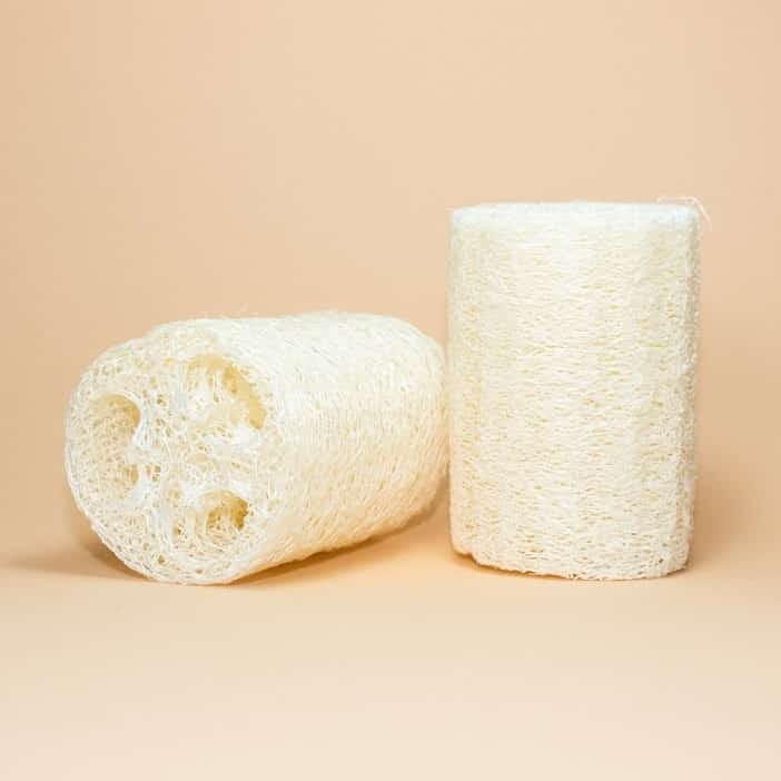 EcoRoots Natural Loofah Review