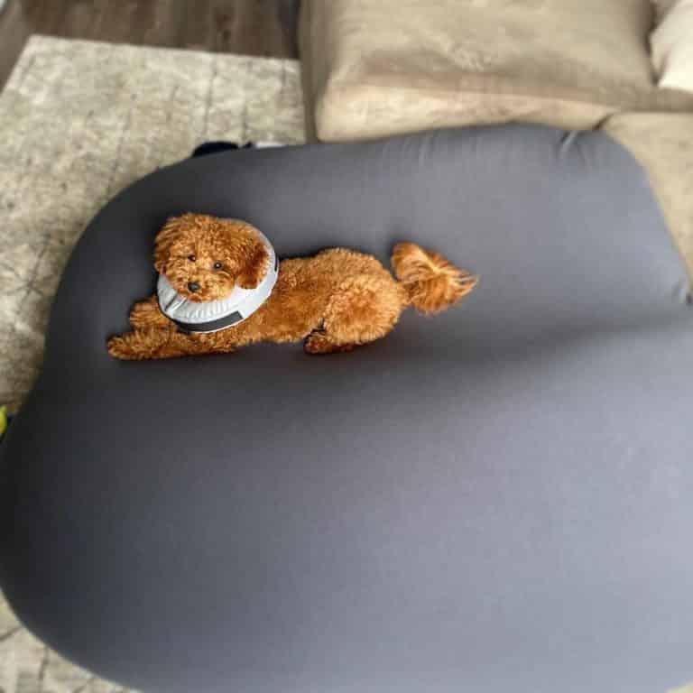 Moon Pod Review Must Read This Before Buying