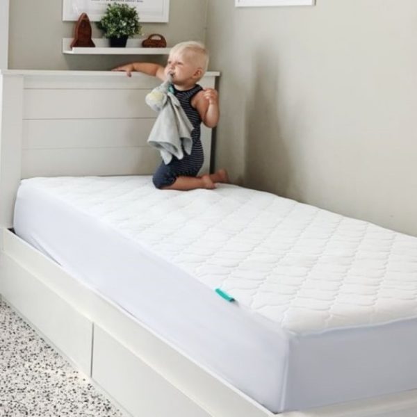Newton Mattress Review Must Read This Before Buying