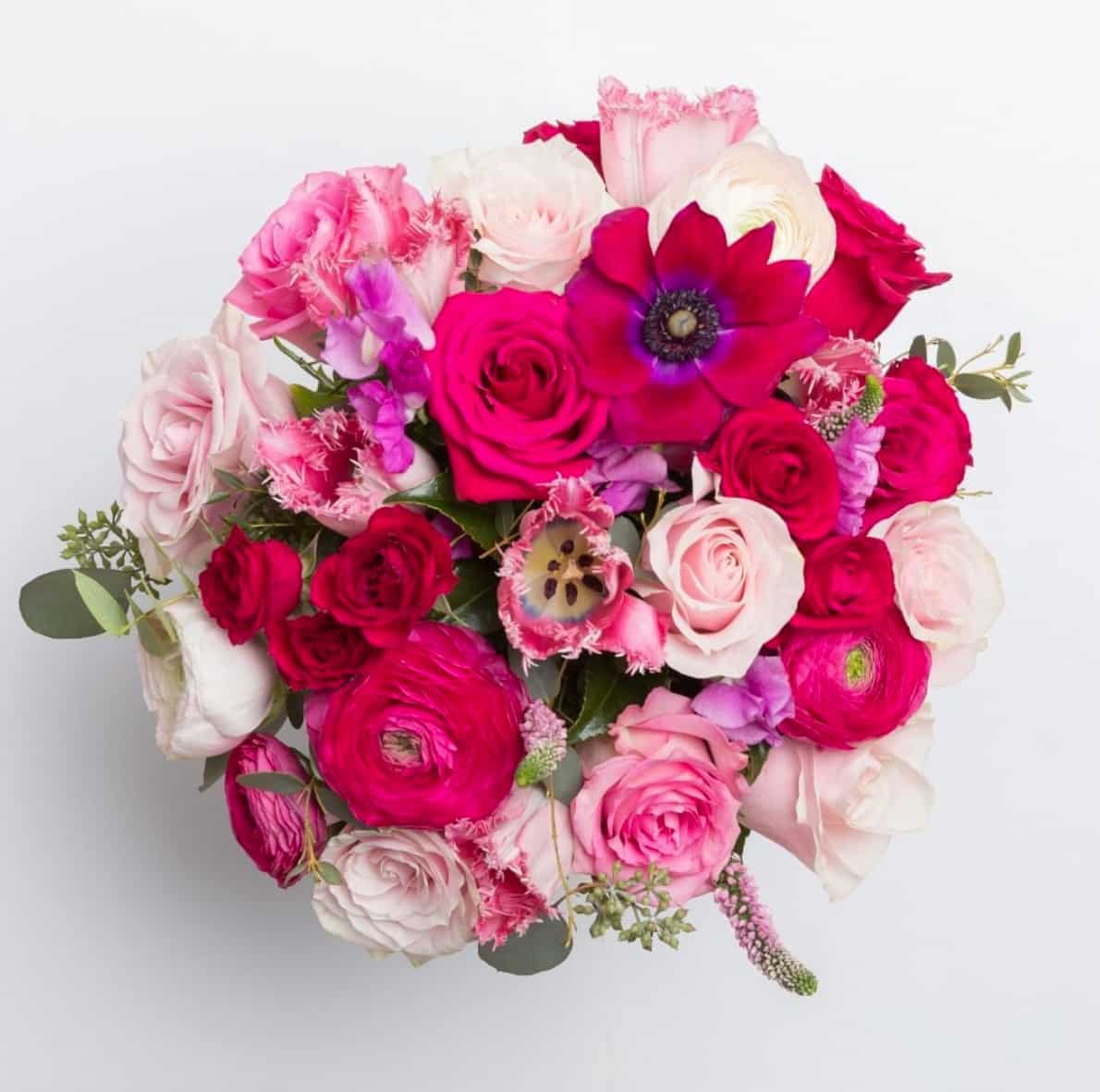 Ode a la Rose Flowers Review Must Read This Before Buying