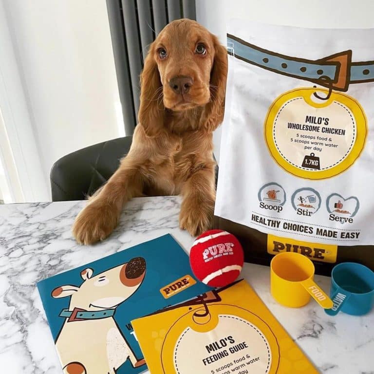 Pure Pet Food Review - Must Read This Before Buying