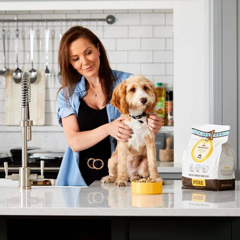 Pure Pet Food Review Must Read This Before Buying