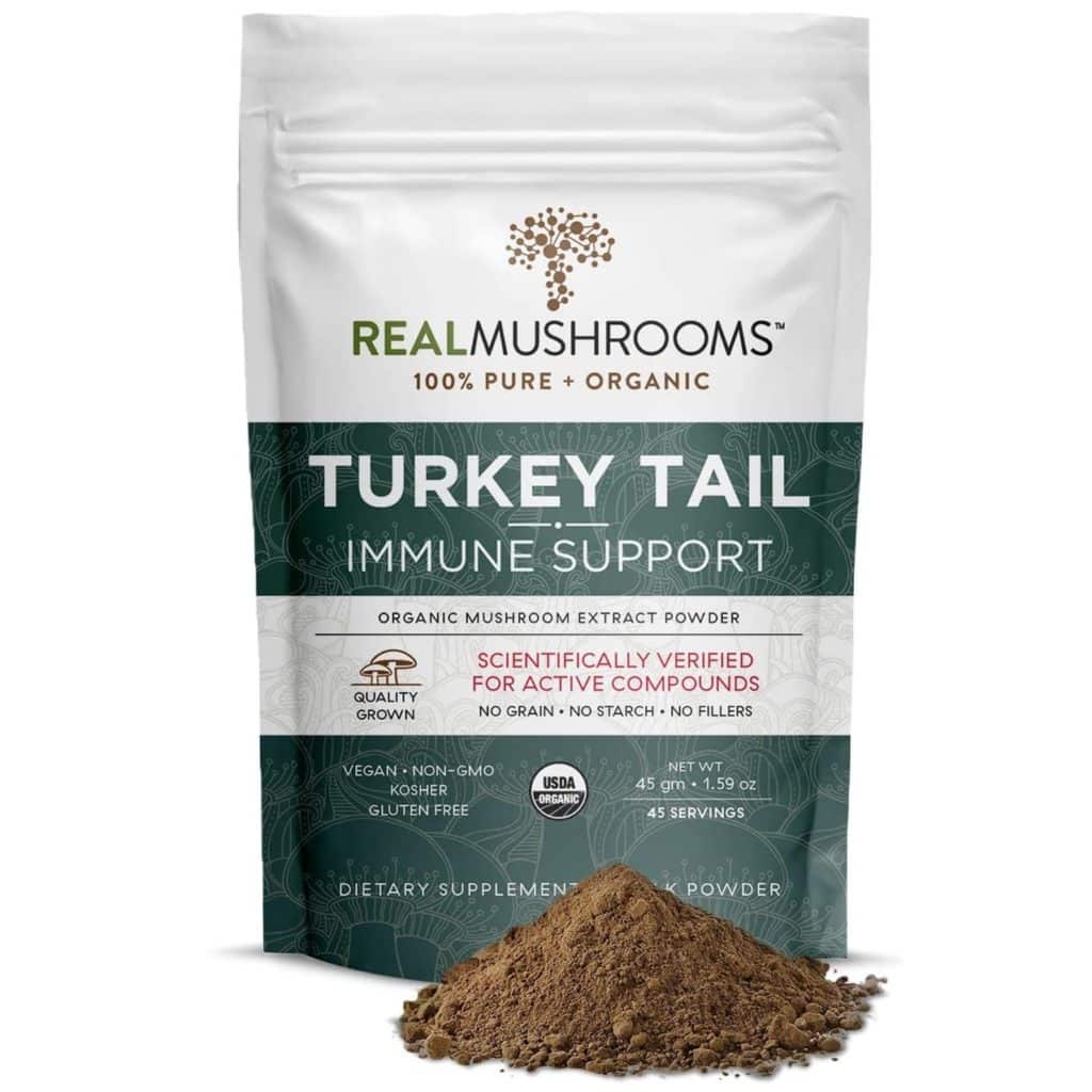 Real Mushrooms Turkey Tail Extract Review