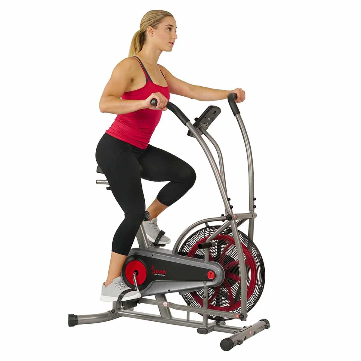 sunny health and fitness bike squeaking