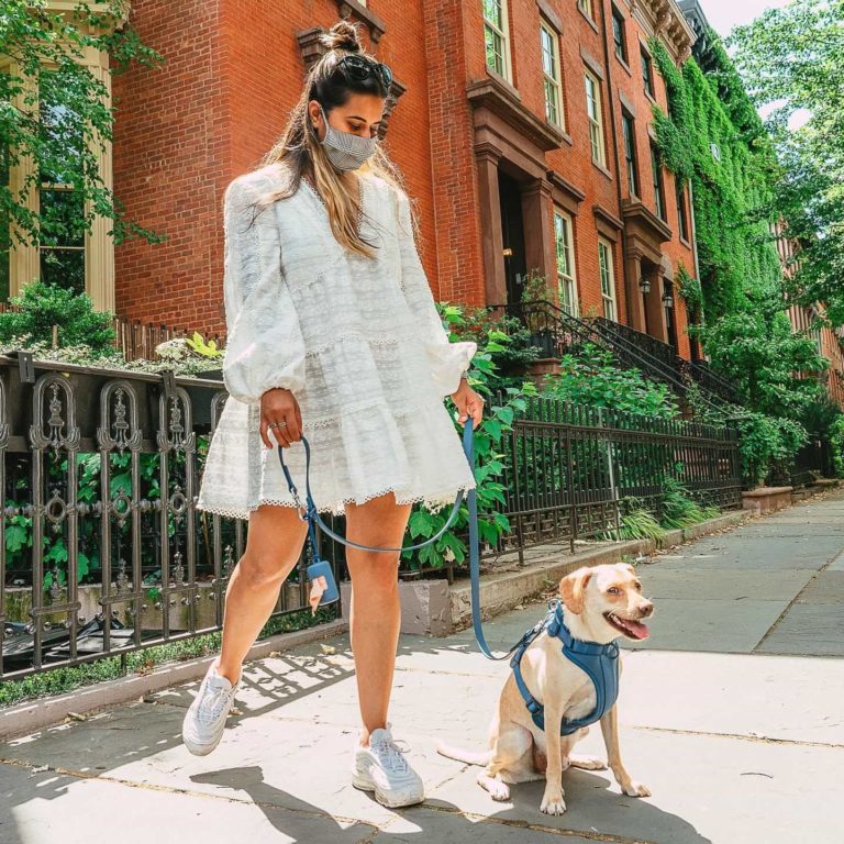 Wild One Harness Review Must Read This Before Buying