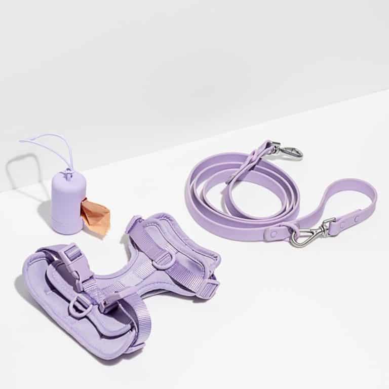 Wild One Harness Review Must Read This Before Buying