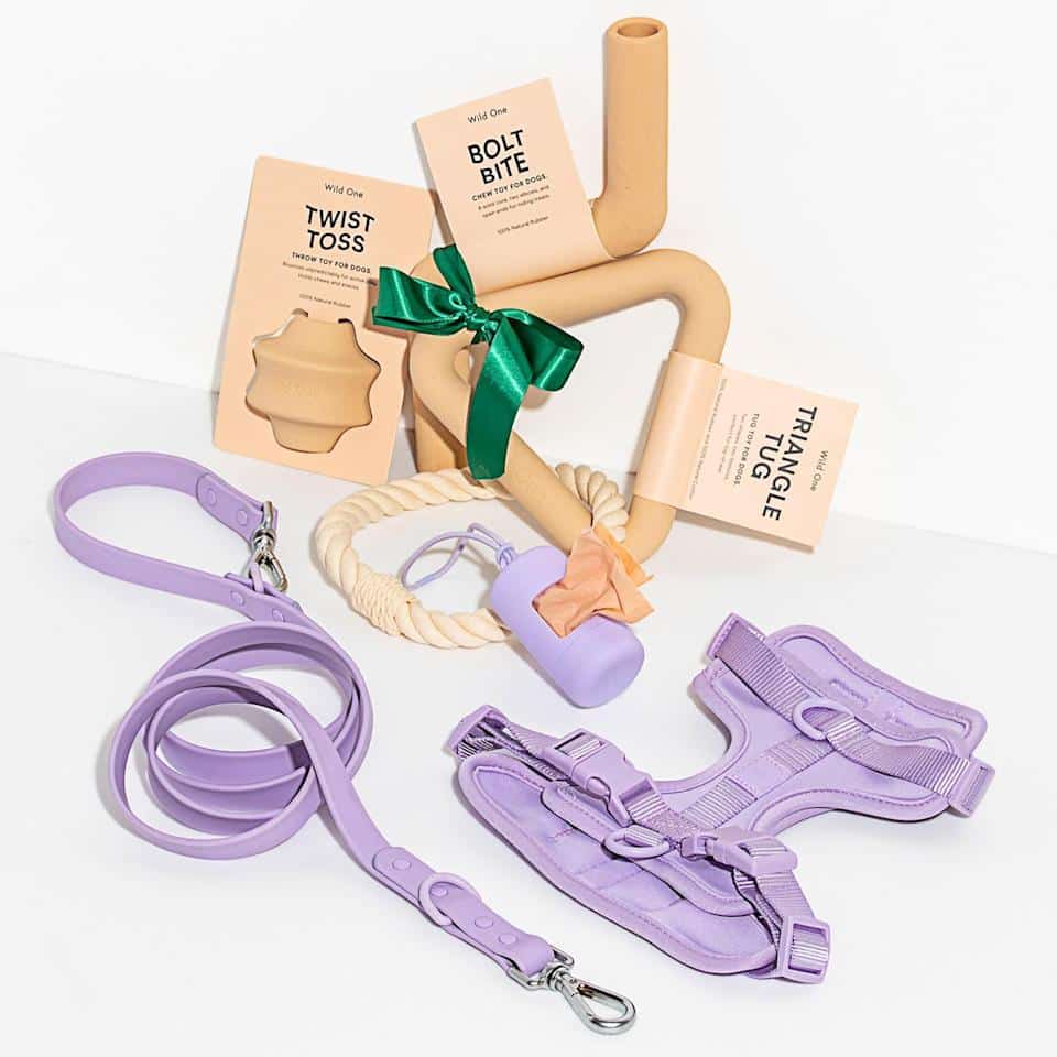 Wild One The Harness Walk & Play Kit Review