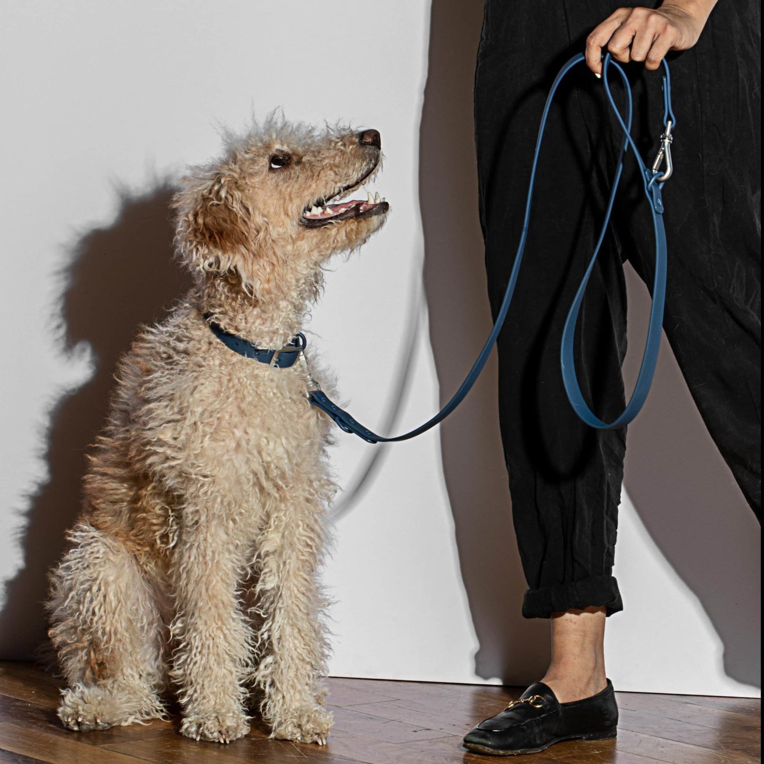 Wild One Harness Review Must Read This Before Buying