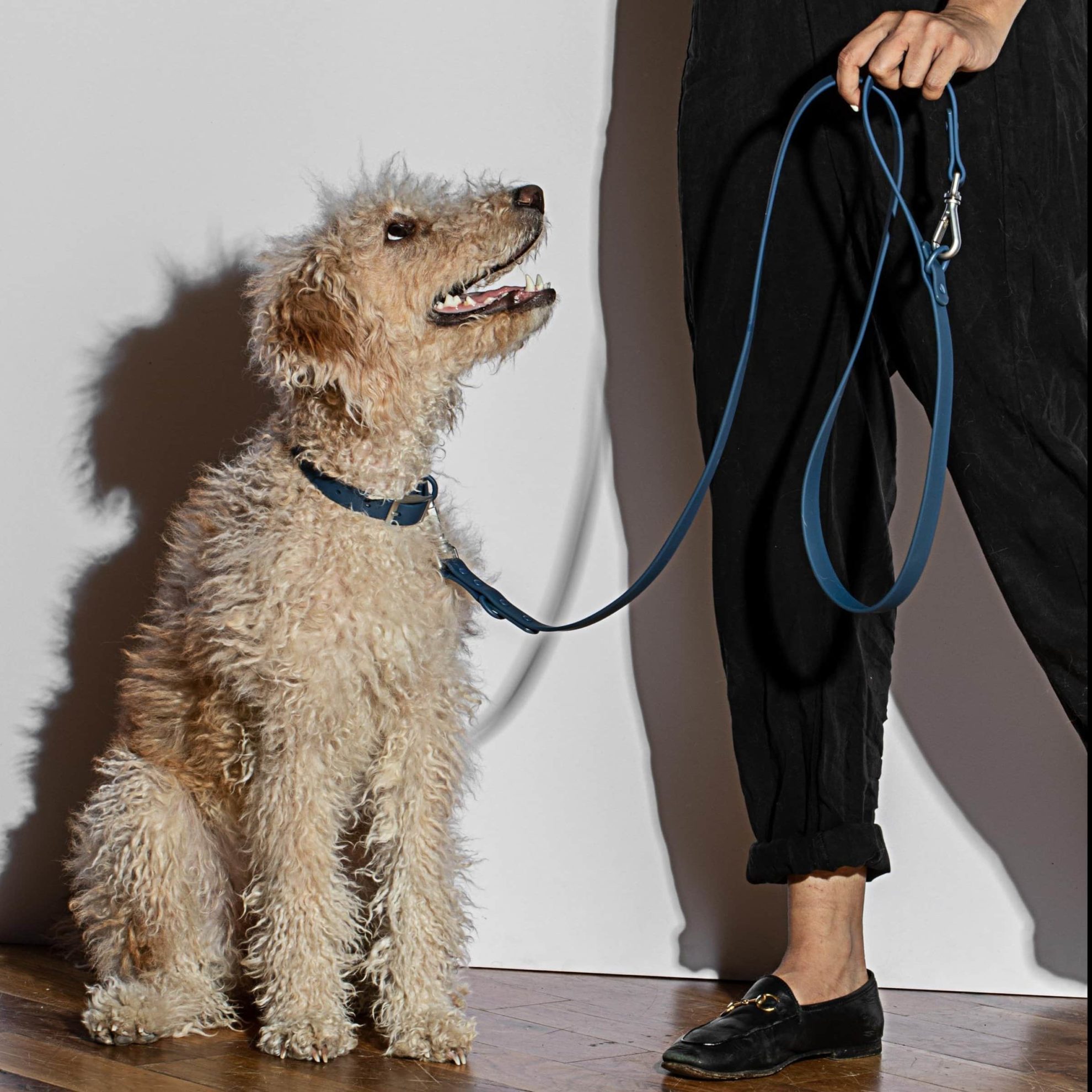 Wild One Harness Review Must Read This Before Buying