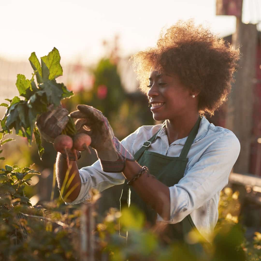 Zoe Test Kit Review Must Read This Before Buying