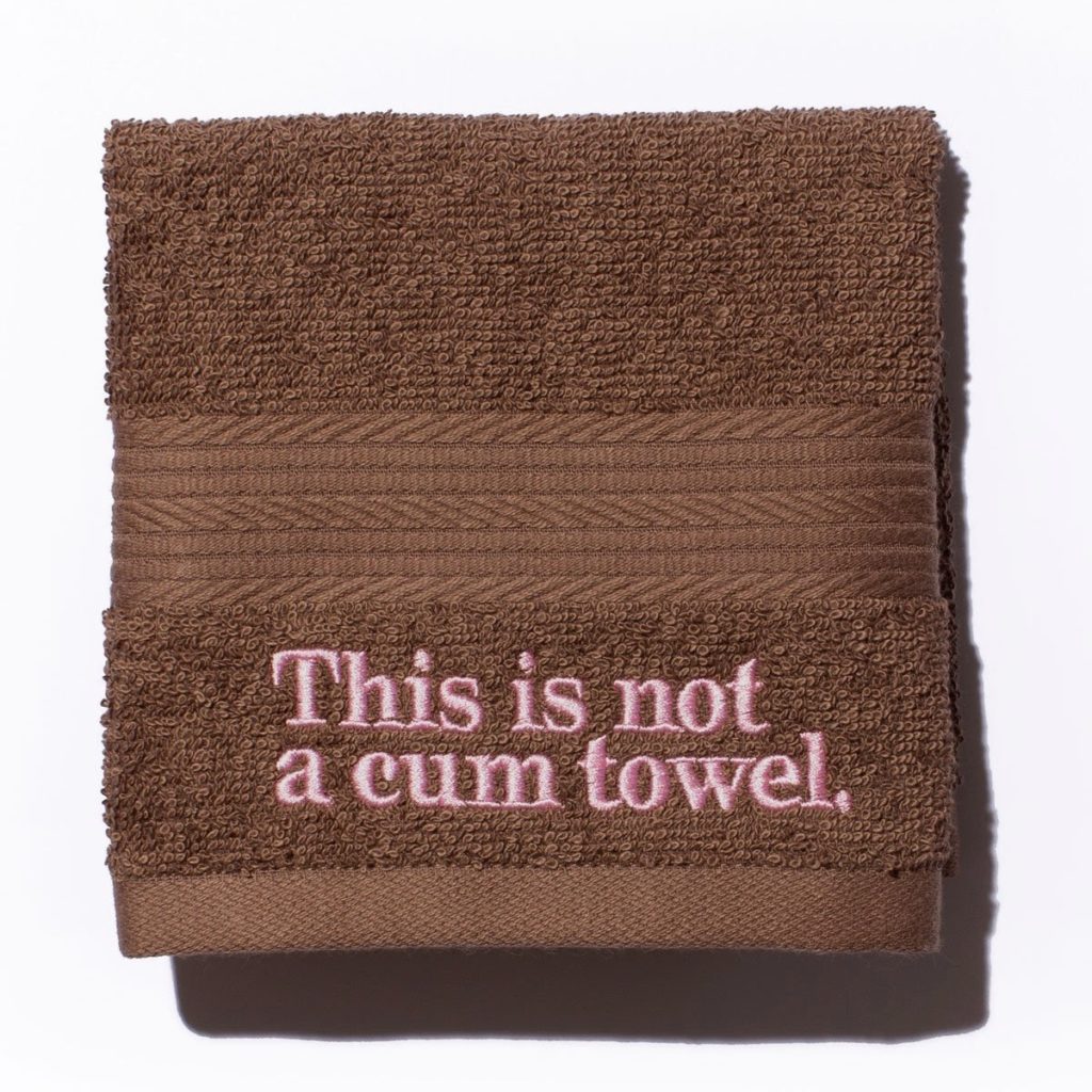 Anese This Is Not a Cum Towel Review
