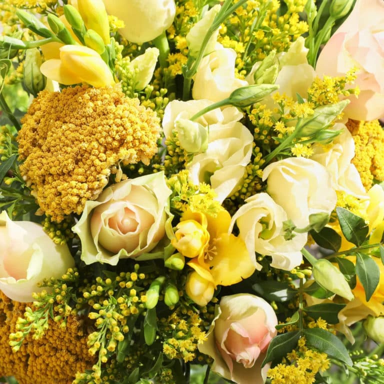 Bloom and Wild Review Must Read This Before Buying