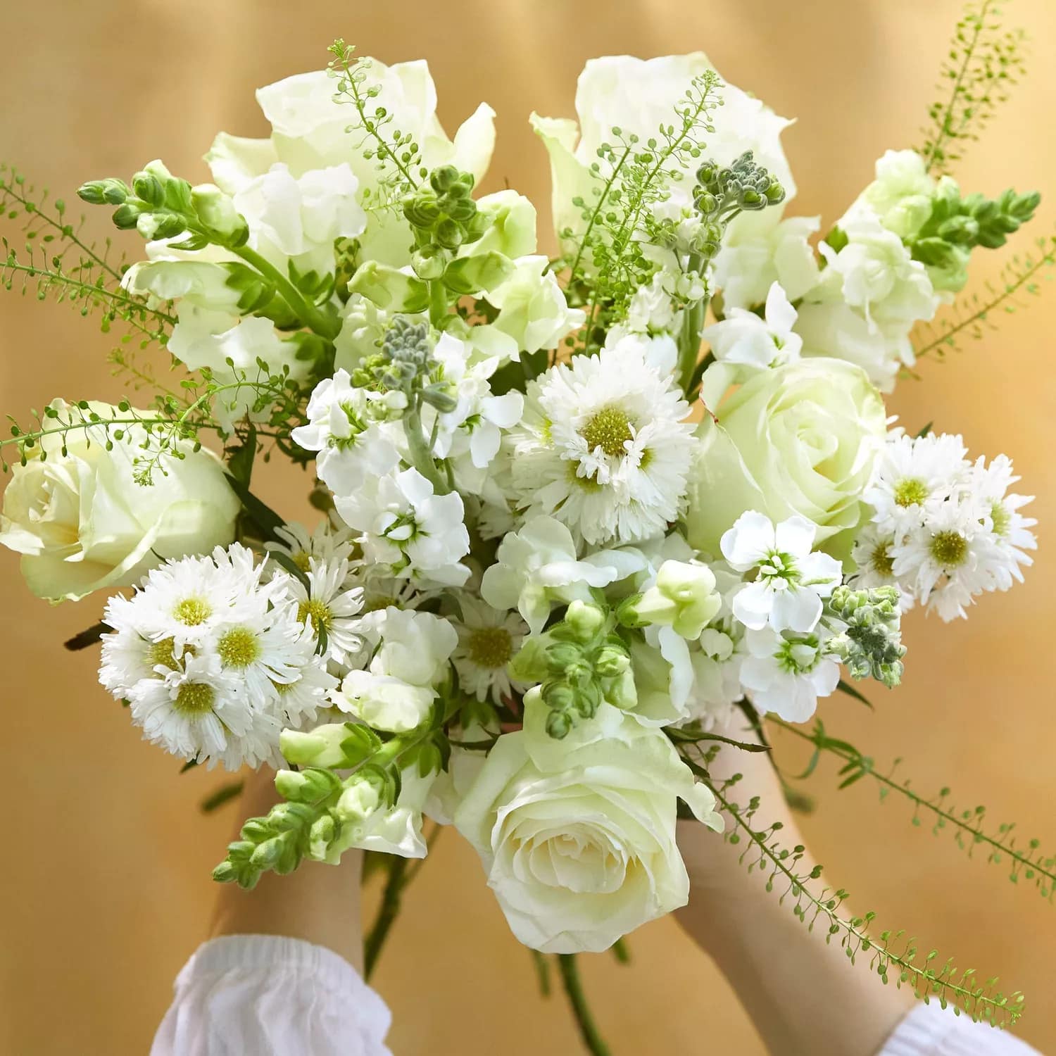 Bloom and Wild Review Must Read This Before Buying