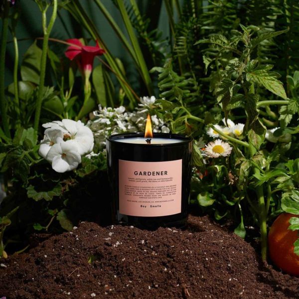 Boy Smells Candles Review Must Read This Before Buying