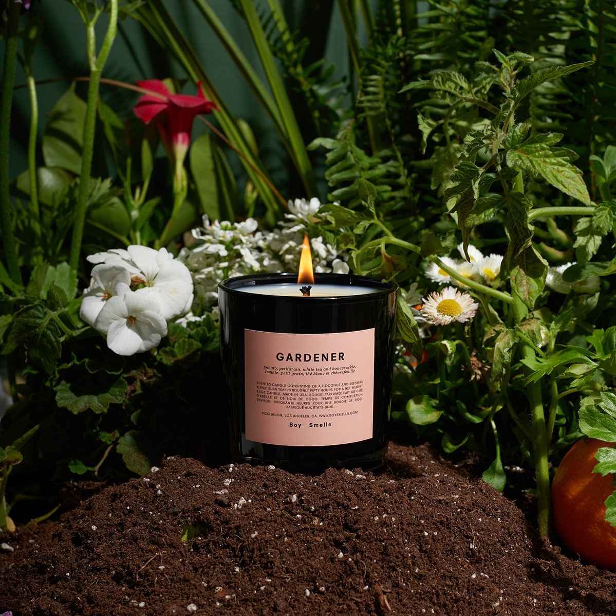 Boy Smells Candles Review Must Read This Before Buying