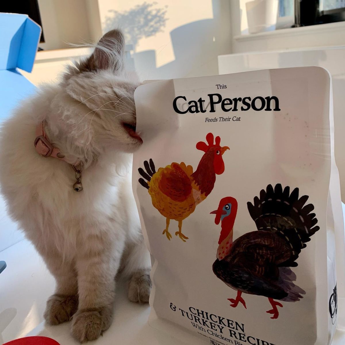 Cat Person Food Review Must Read This Before Buying