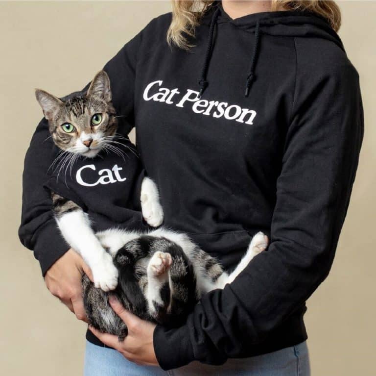 Cat Person Food Review Must Read This Before Buying