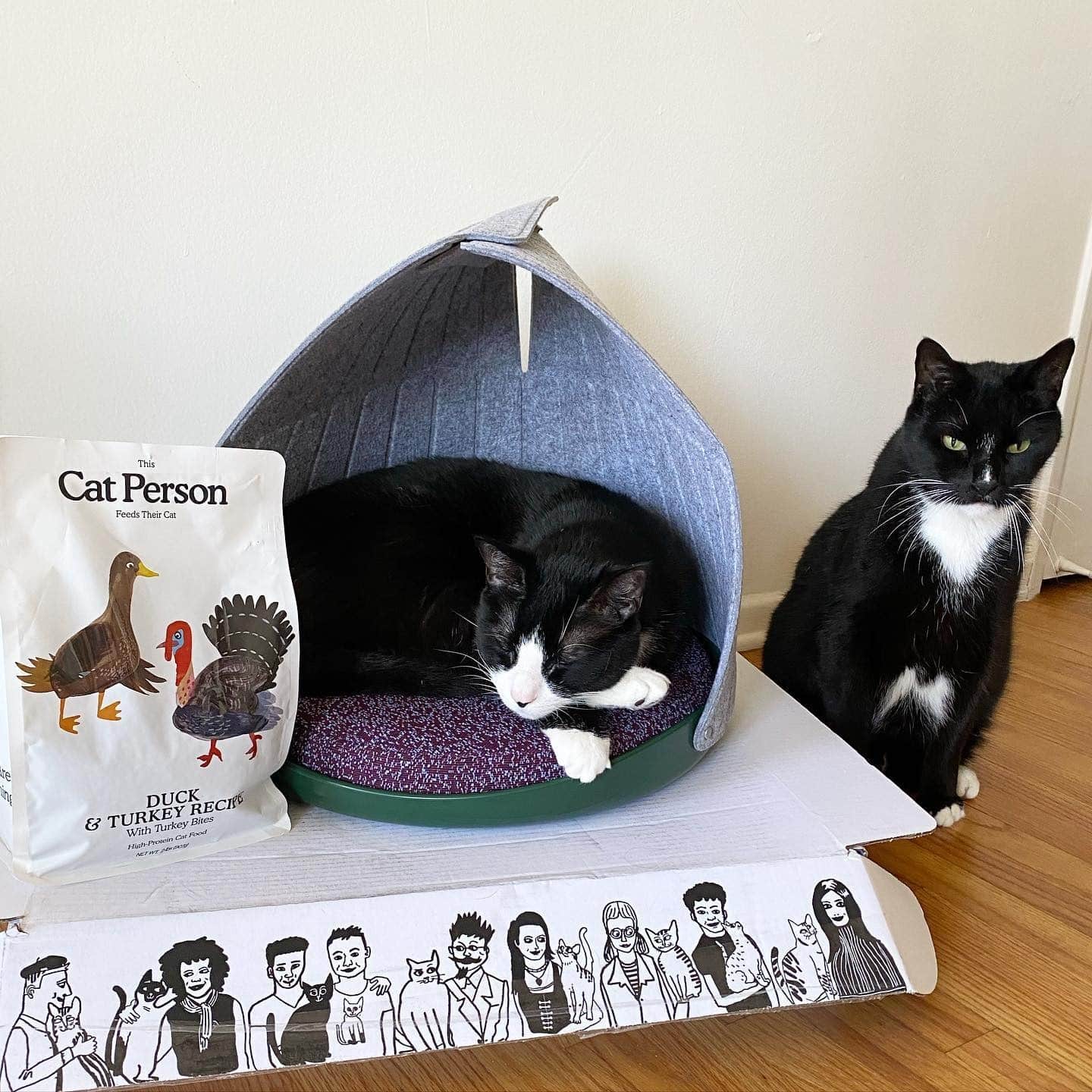 Cat Person Food Review Must Read This Before Buying