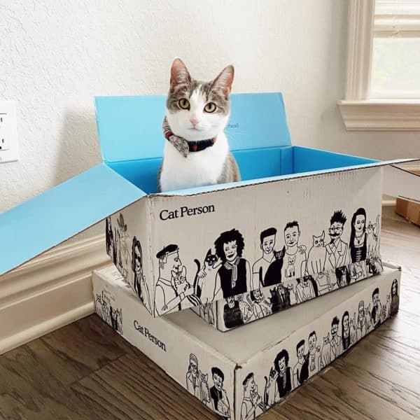 Cat Person Food Review Must Read This Before Buying