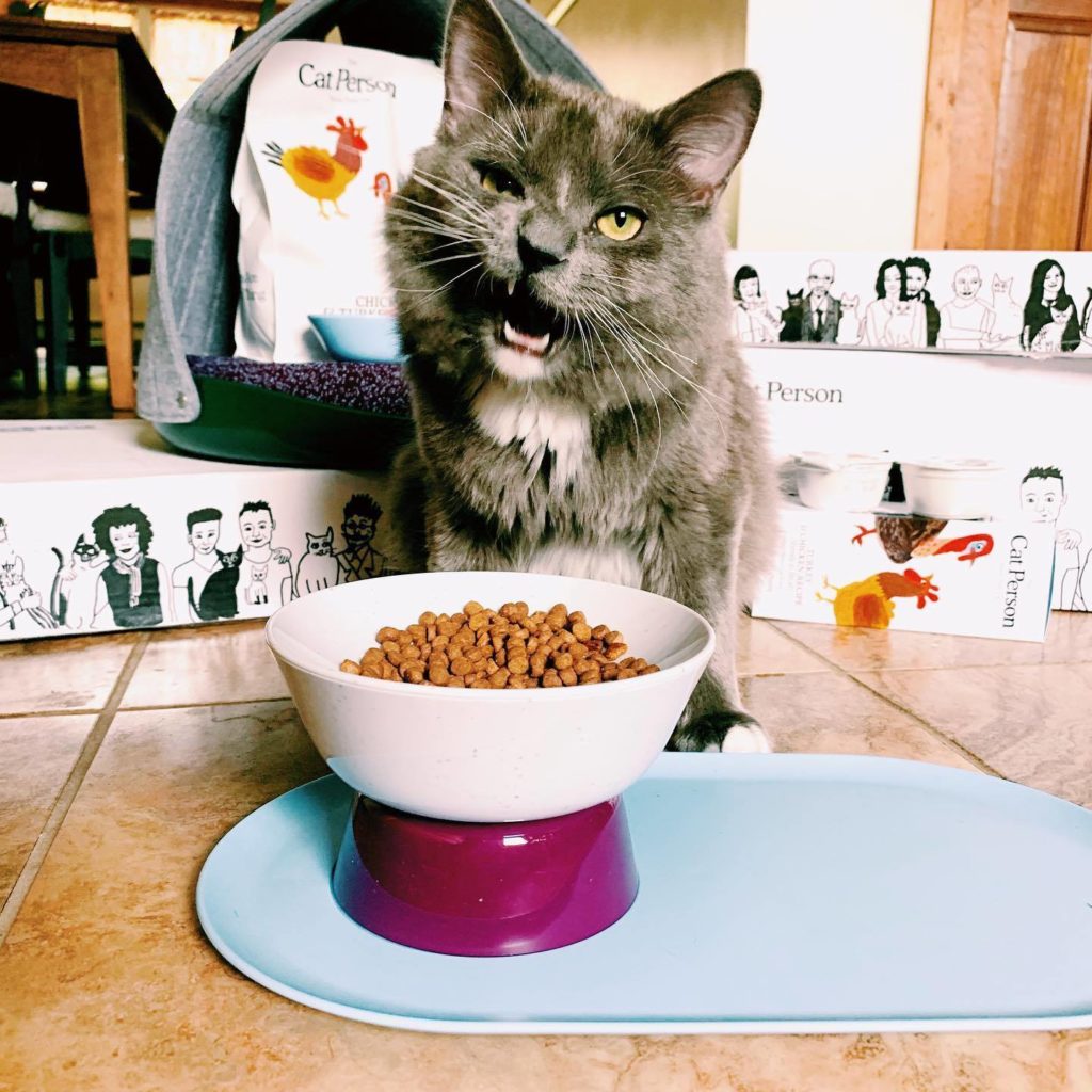 Cat Person Food Review