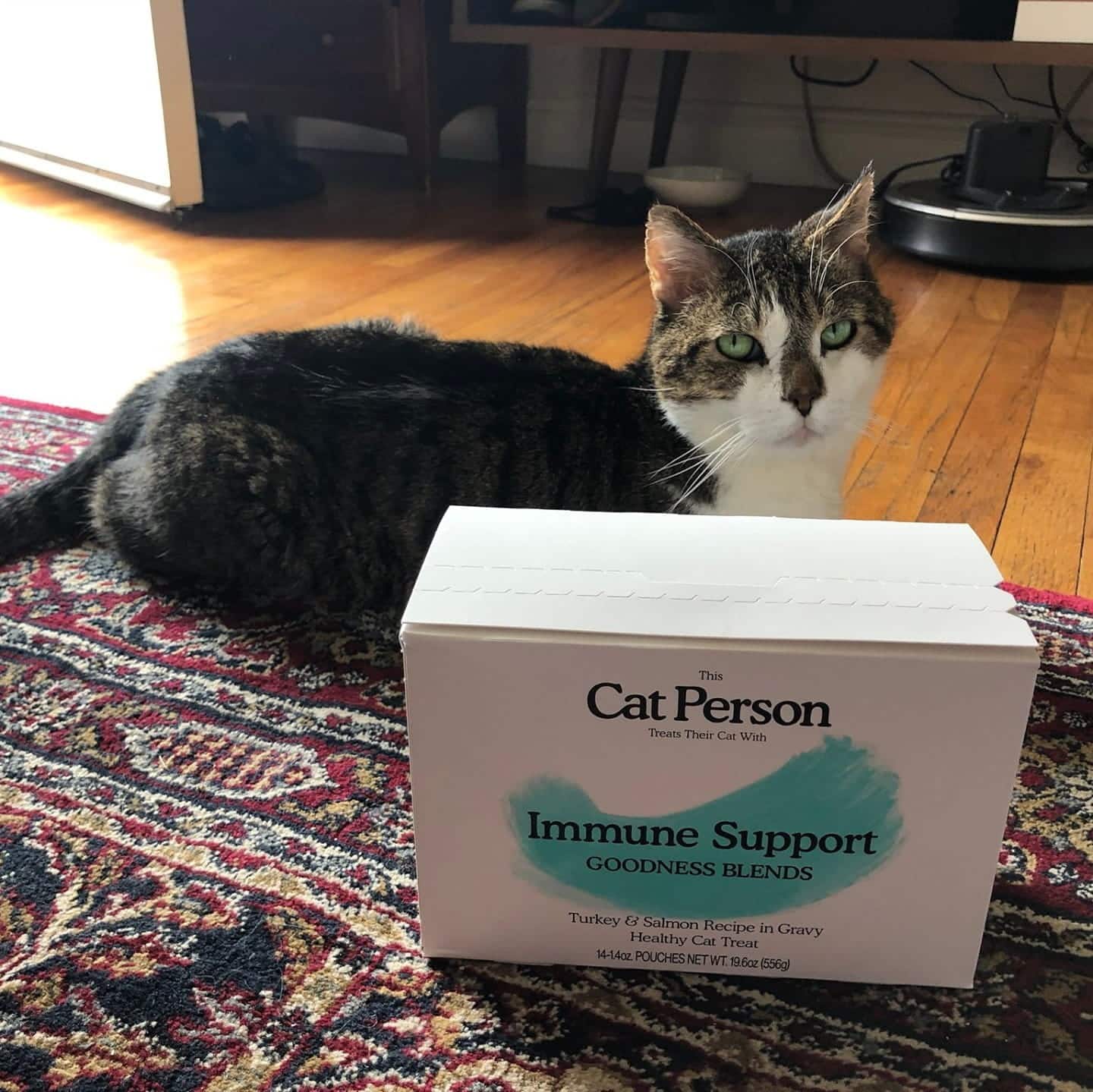 Cat Person Food Review Must Read This Before Buying