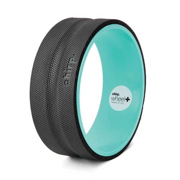 Chirp Wheel+ 12” Gentle Review