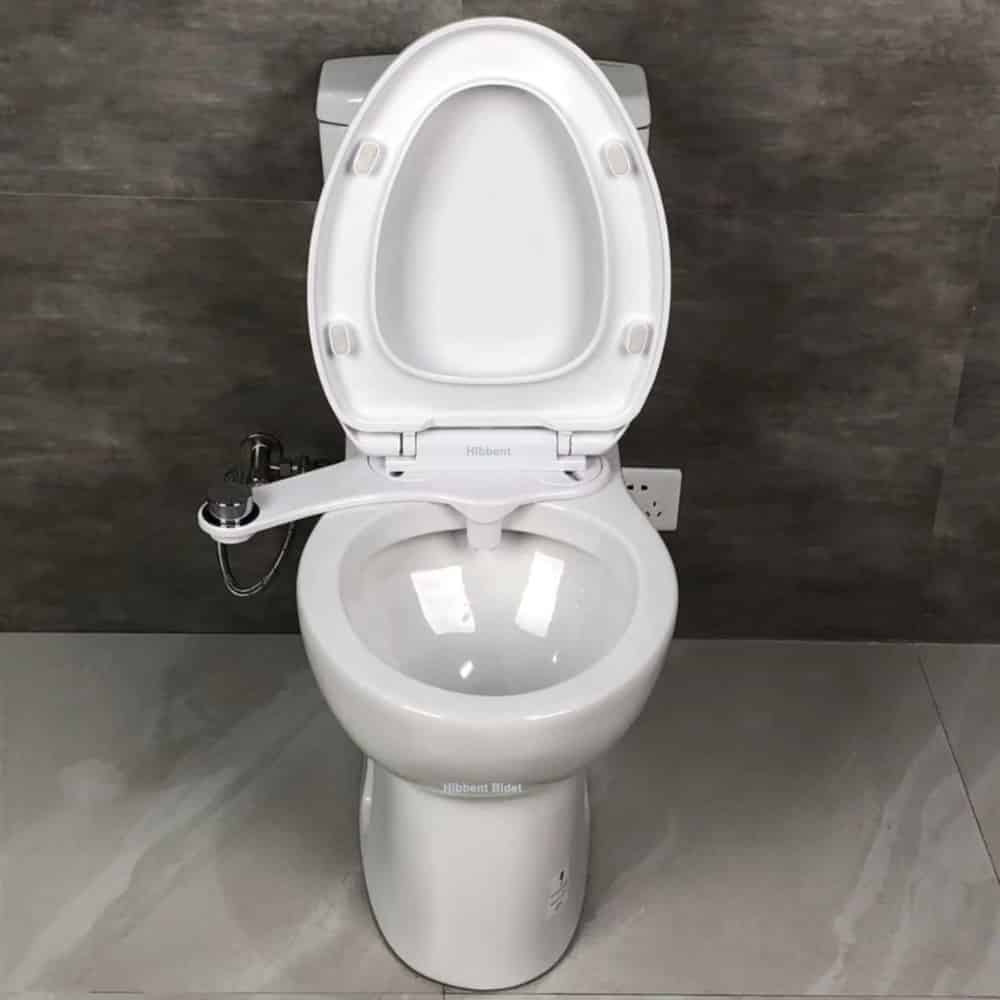 Clear Rear Bidet Review