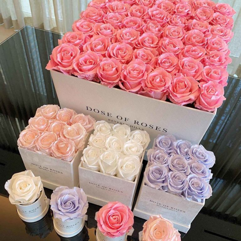Dose of Roses Flowers Review Must Read This Before Buying