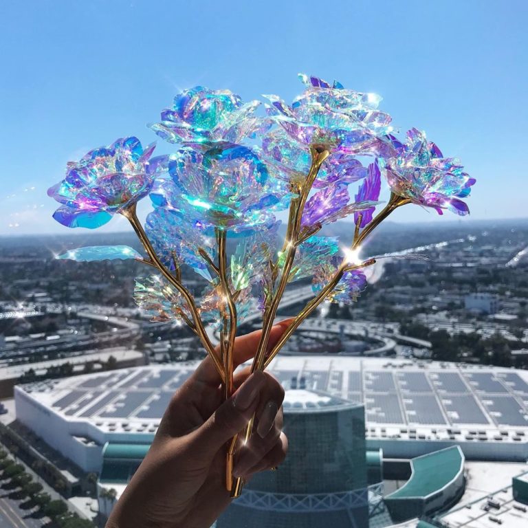 Dose of Roses Flowers Review Must Read This Before Buying