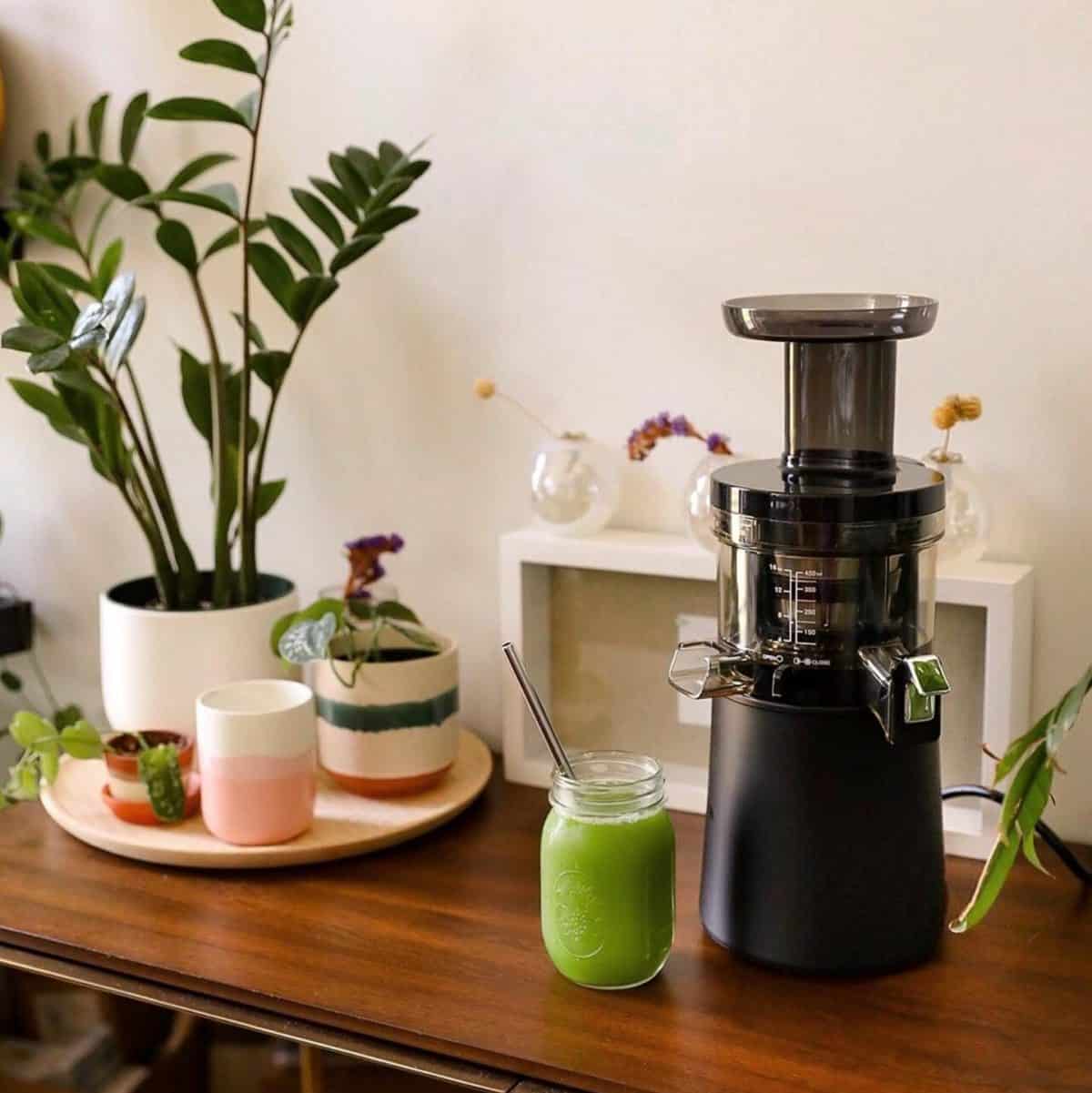 Hurom Juicer Review Must Read This Before Buying