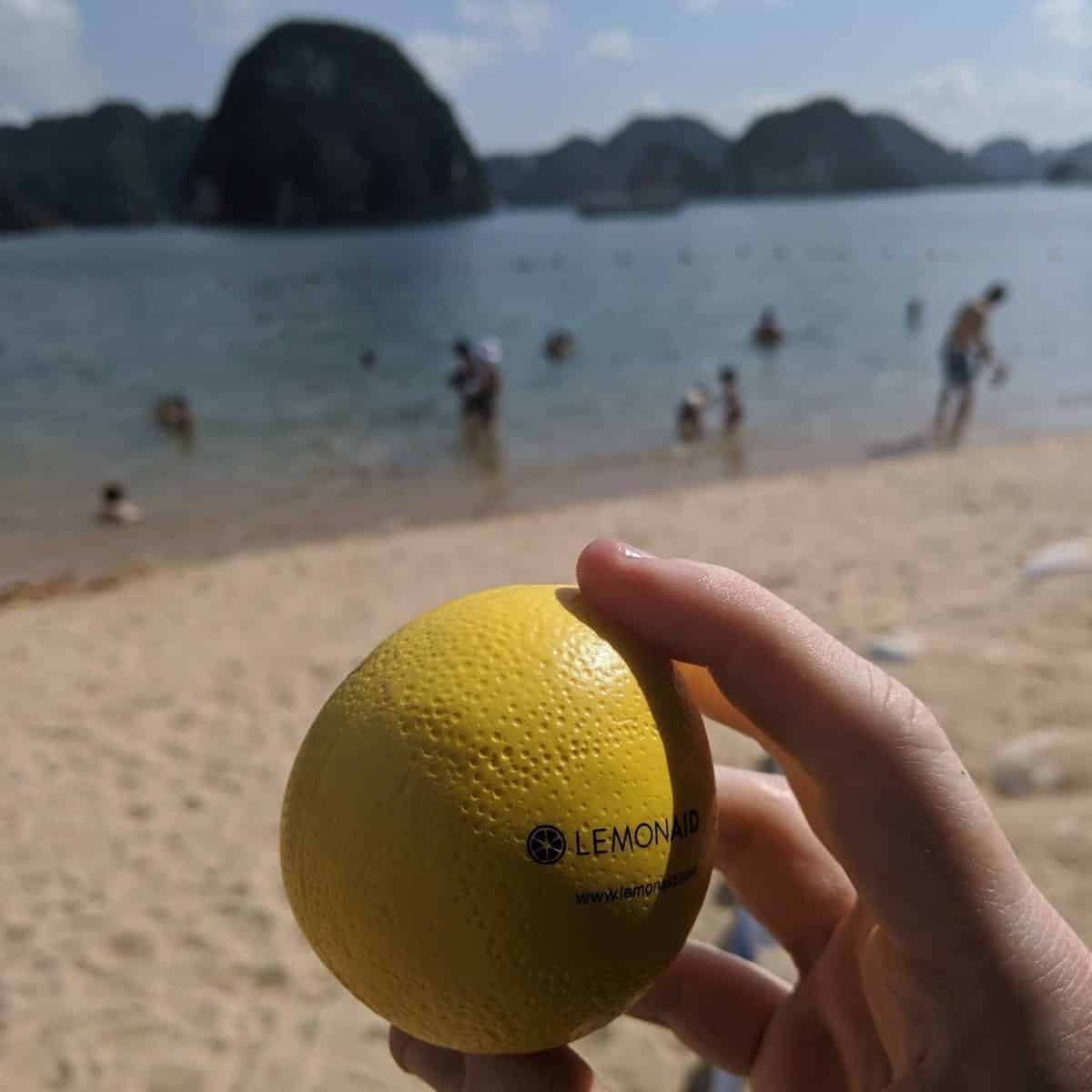 Lemonaid Health Review Must Read This Before Buying