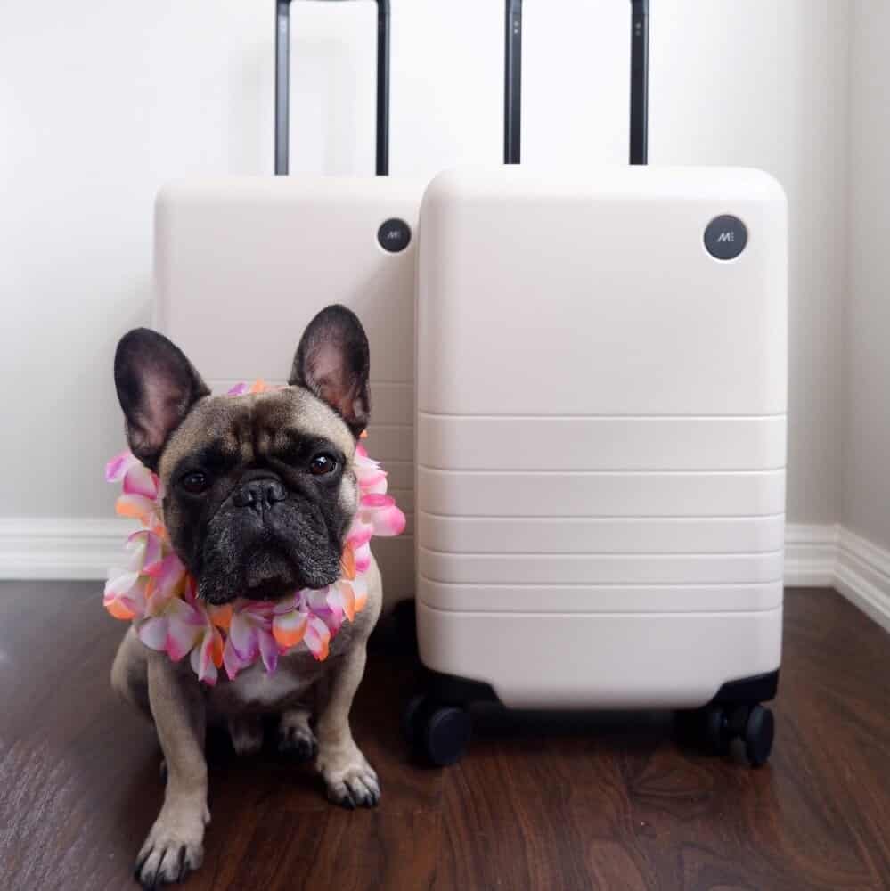Monos Luggage Review