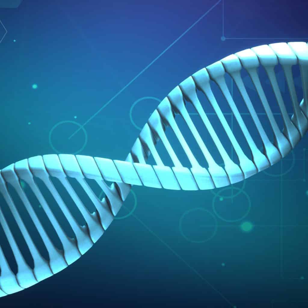 Nebula Genomics Review 1 Nebula Genomics Review