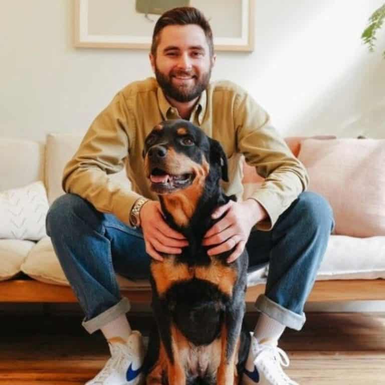 The Farmer's Dog Review Must Read This Before Buying