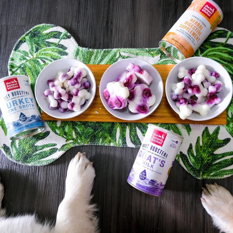 The Honest Kitchen Dog Food Review Must Read This Before Buying