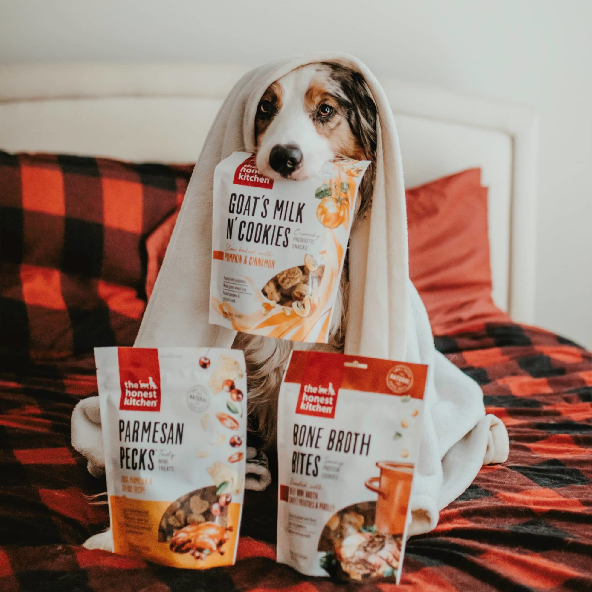 Dog food honest kitchen