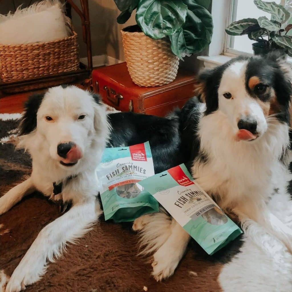 The Honest Kitchen Dog Food Review