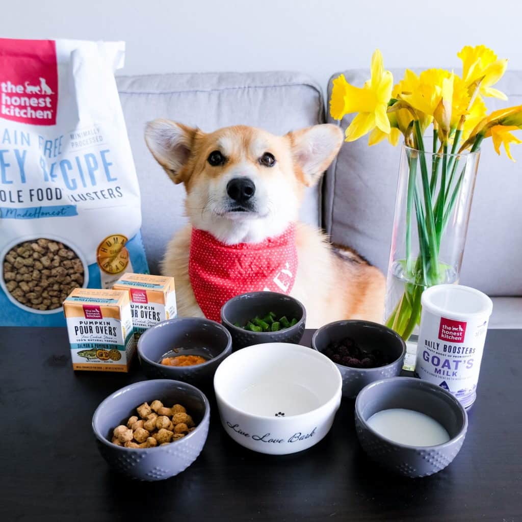 The Honest Kitchen Dog Food Review