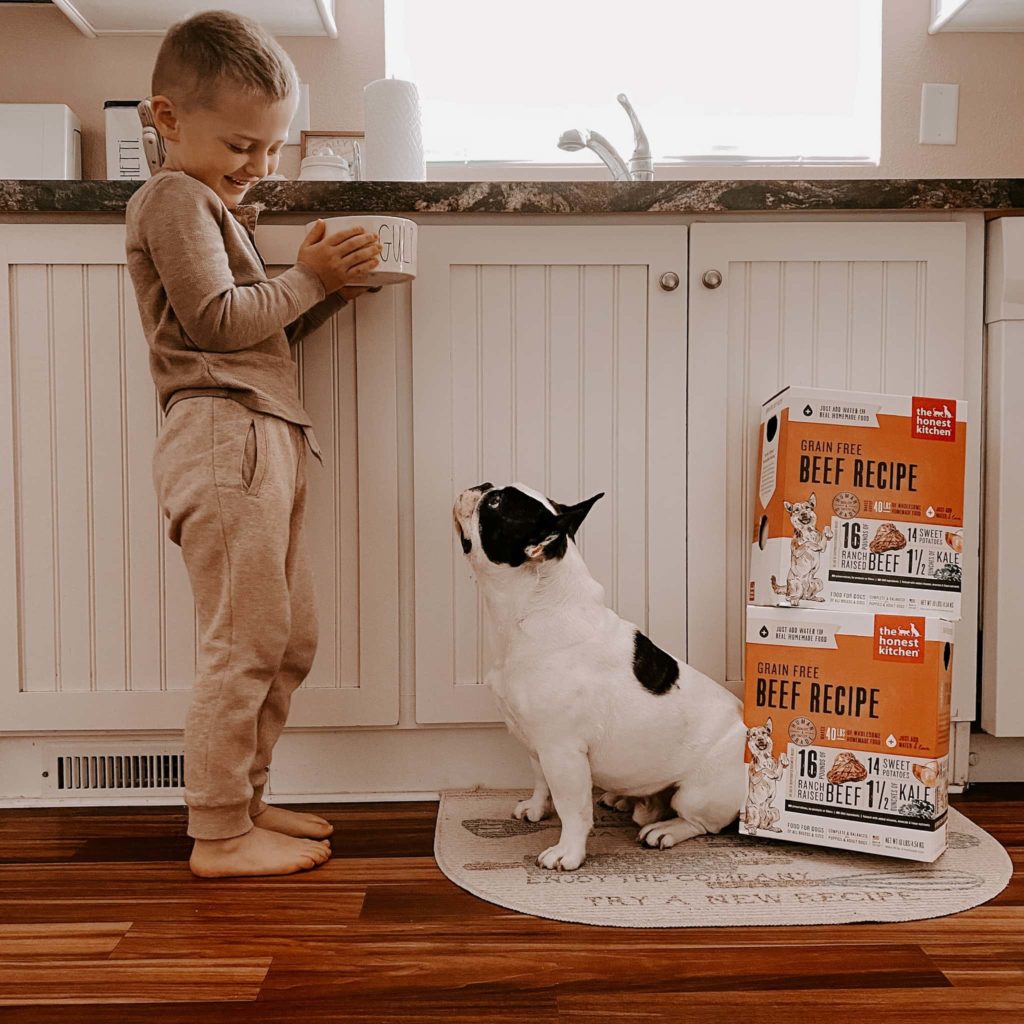 The Honest Kitchen Dog Food Review