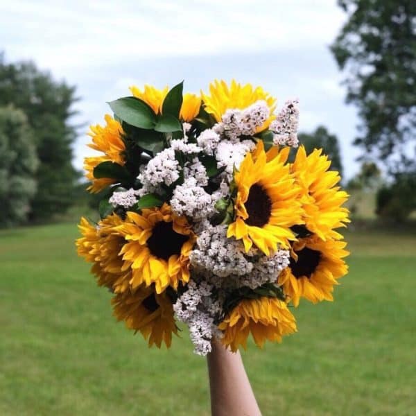 UrbanStems Review Must Read This Before Buying