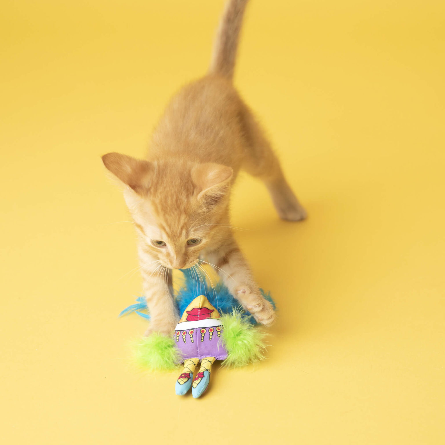 1800PetMeds Review Must Read This Before Buying