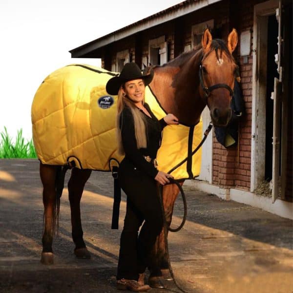 1800PetMeds Review Must Read This Before Buying